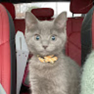 Meet your Posher, Hailey